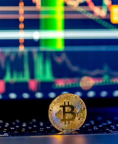 Leoxrheinix Trading Informationen